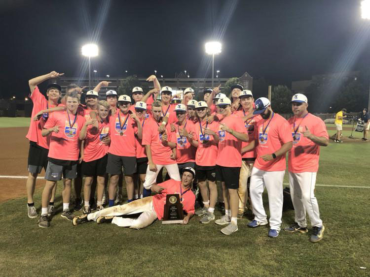 NL Baseball Team 2019